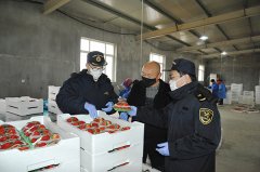 大连海关助力扶贫村草莓首次出口俄罗斯市场